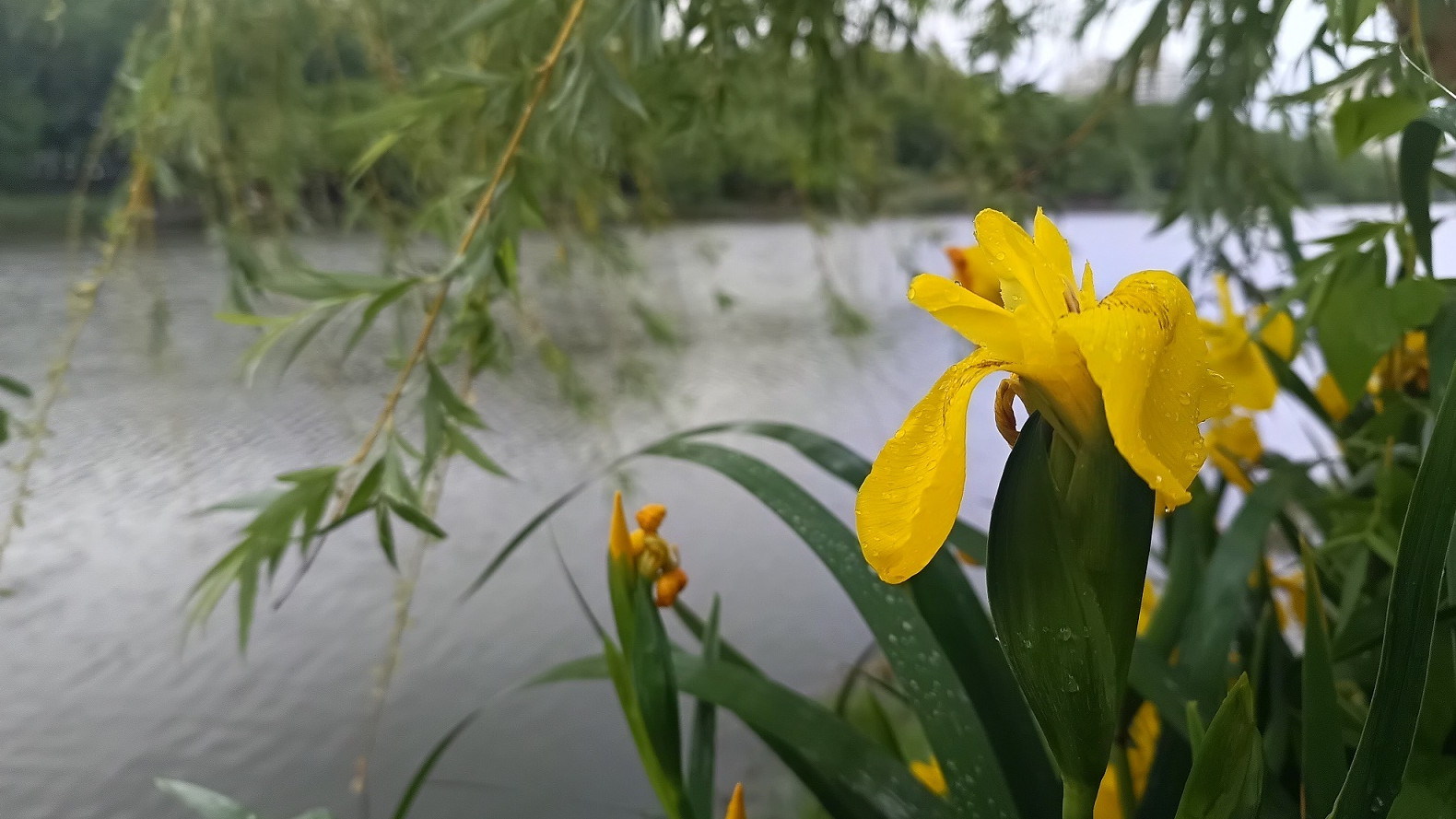 Непогода задержится на Кубани еще на время